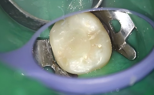 0b07c8cb-cf09-82a1-d7e8-44245f3e1a70.png 0b07c8cb-cf09-82a1-d7e8-44245f3e1a70.png