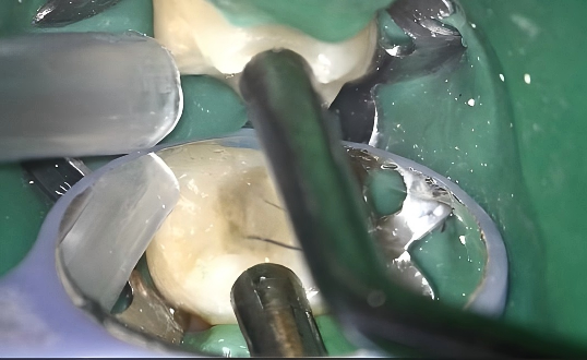 111f5481-7c5d-6c2e-7660-7c64585194f6.png 111f5481-7c5d-6c2e-7660-7c64585194f6.png